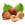 Fındık